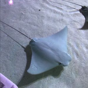 Meet your Posher, Jasmin